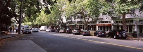 Cars parked at the roadside College Avenue Claremont Oakland Alameda County California USA Canvas Art - Panoramic Images (36 x 13)
