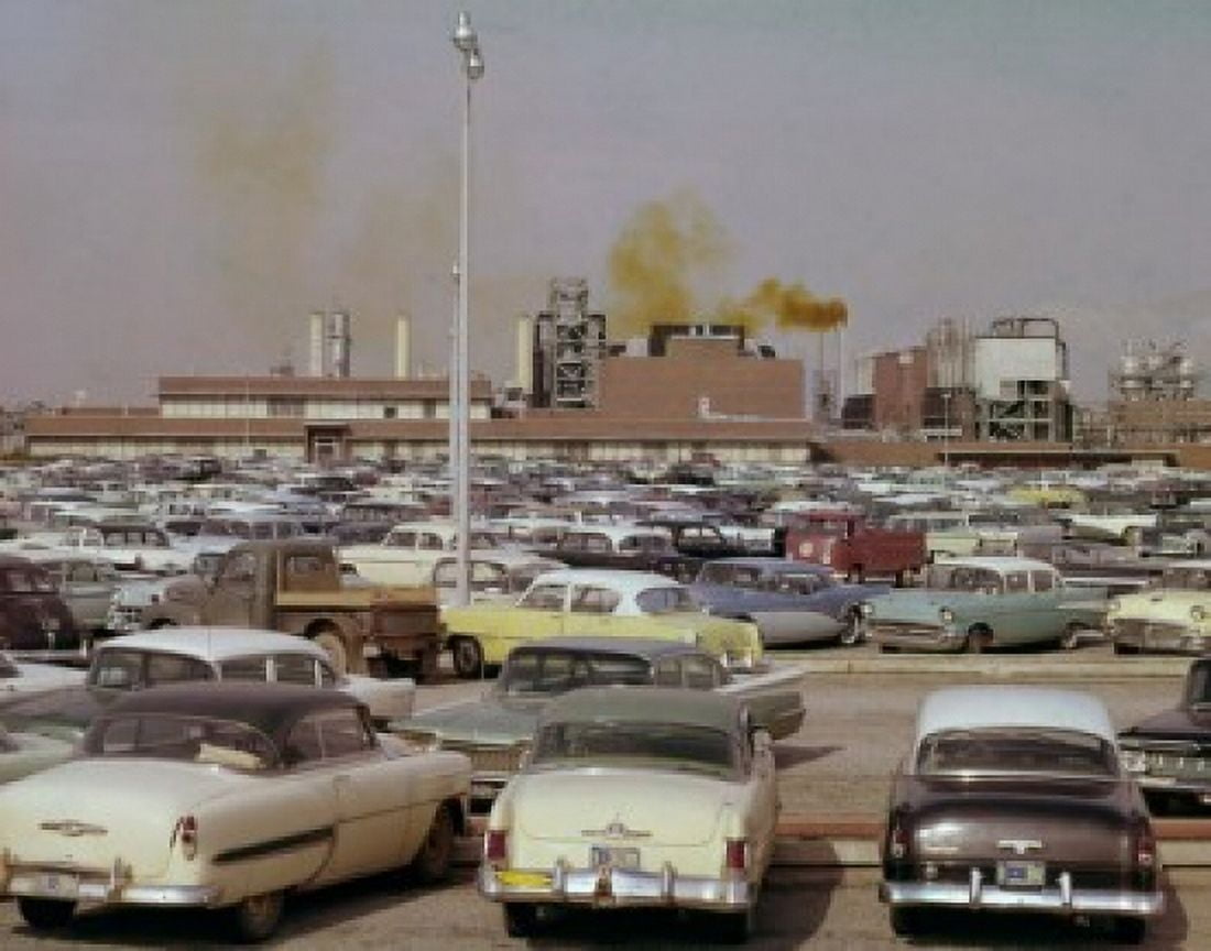 Cars parked outside Nylon Plant Canvas Art - (18 x 24)