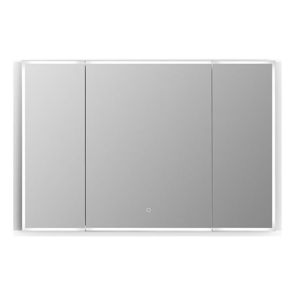 Carsoli Rectangle 48" Frameless Surface-Mount/Recessed LED Lighted Bathroom Medicine Cabinet
