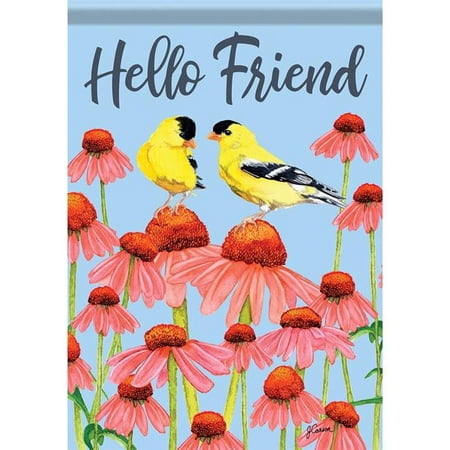 Carson 53012 Garden Flag - Hello Friend