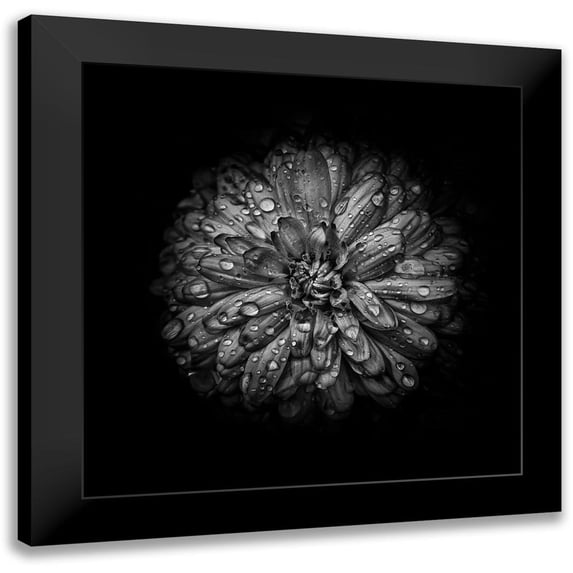 Carson, Brian 12x12 Black Modern Framed Museum Art Print Titled - Black And White Mum IV