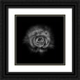 thumbnail image 1 of Carson, Brian 12x12 Black Ornate Wood Framed with Double Matting Museum Art Print Titled - Black And White Begonia II, 1 of 4
