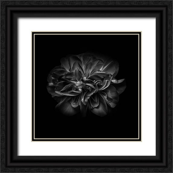 Carson, Brian 12x12 Black Ornate Wood Framed with Double Matting Museum Art Print Titled - Black And White Camelia V