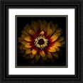 thumbnail image 1 of Carson, Brian 12x12 Black Ornate Wood Framed with Double Matting Museum Art Print Titled - Yellow Red Chrysanthemum, 1 of 4