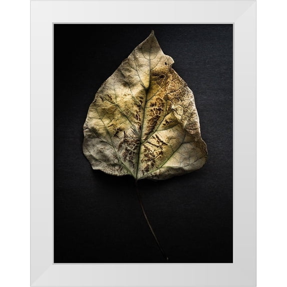 Carson, Brian 12x14 White Modern Wood Framed Museum Art Print Titled - Leaves no 1 Color