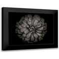 thumbnail image 1 of Carson, Brian 14x12 Black Modern Framed Museum Art Print Titled - Backyard Flowers Black and White 86, 1 of 5