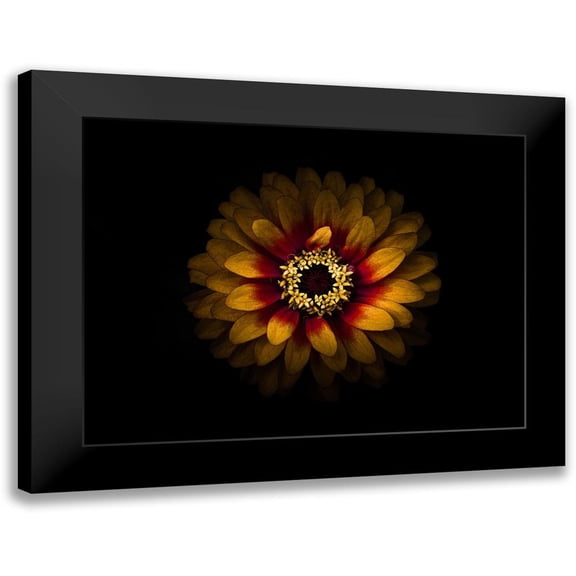 Carson, Brian 14x12 Black Modern Framed Museum Art Print Titled - Backyard Flowers Gold 69
