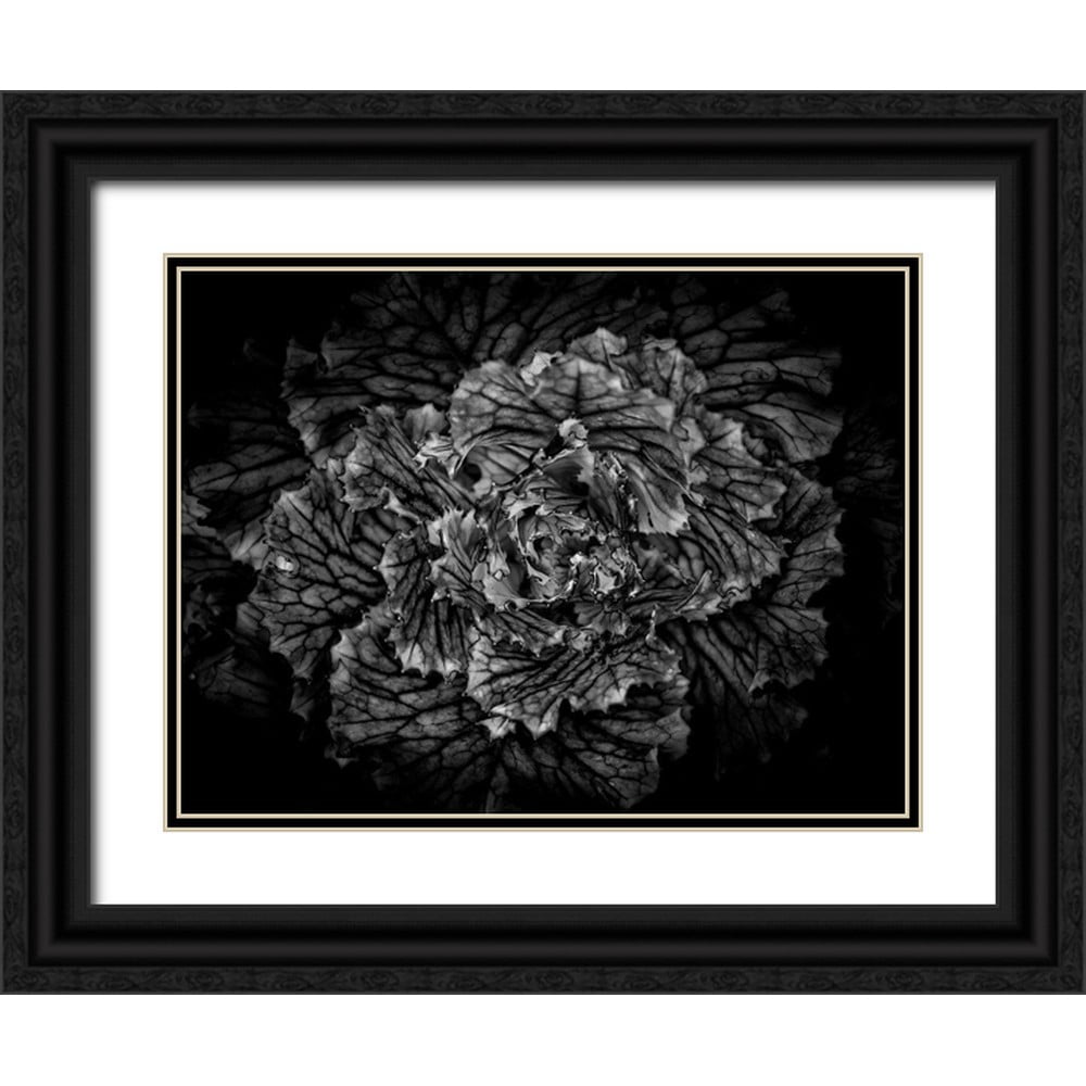 Carson, Brian 14x12 Black Ornate Wood Framed with Double Matting Museum ...