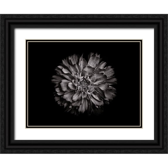 Carson, Brian 14x12 Black Ornate Wood Framed with Double Matting Museum Art Print Titled - Backyard Flowers Black and White 79