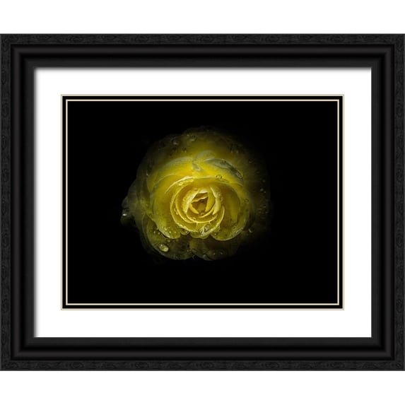 Carson, Brian 14x12 Black Ornate Wood Framed with Double Matting Museum Art Print Titled - Backyard Flowers Yellow 64