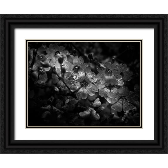 Carson, Brian 14x12 Black Ornate Wood Framed with Double Matting Museum Art Print Titled - Black And White Petunia