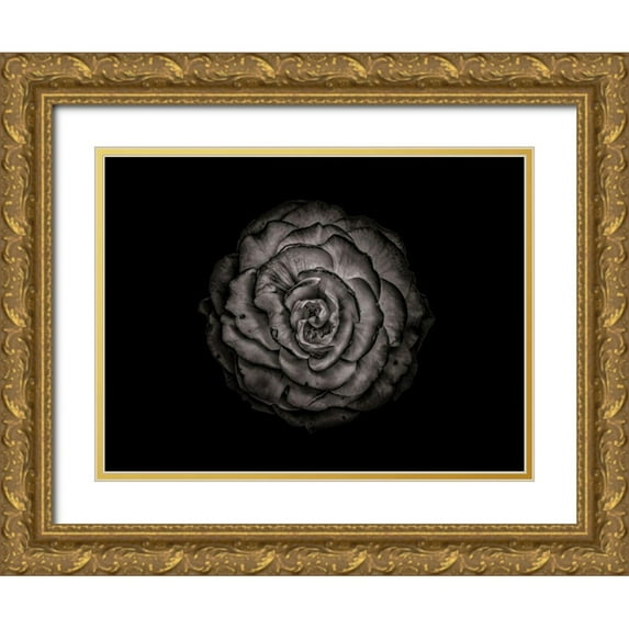 Carson, Brian 14x12 Gold Ornate Wood Framed with Double Matting Museum Art Print Titled - Backyard Flowers Black and White 85