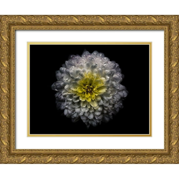 Carson, Brian 14x12 Gold Ornate Wood Framed with Double Matting Museum Art Print Titled - Backyard Flowers White 46