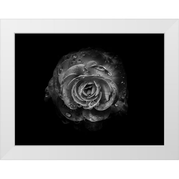 Carson, Brian 14x12 White Modern Wood Framed Museum Art Print Titled - Backyard Flowers Black and White 64