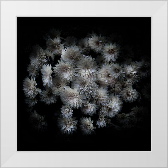 Carson, Brian 15x15 White Modern Wood Framed Museum Art Print Titled - Mum Bouquet