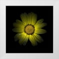 thumbnail image 1 of Carson, Brian 15x15 White Modern Wood Framed Museum Art Print Titled - Yellow Daisy II, 1 of 4