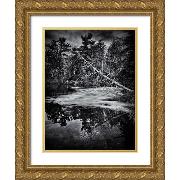 Carson, Brian 15x18 Gold Ornate Wood Framed with Double Matting Museum Art Print Titled - Gullwing Lake No 2