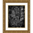 thumbnail image 1 of Carson, Brian 15x18 Gold Ornate Wood Framed with Double Matting Museum Art Print Titled - Gullwing Lake No 5, 1 of 4