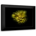 thumbnail image 1 of Carson, Brian 18x15 Black Modern Framed Museum Art Print Titled - Backyard Flowers Yellow 41, 1 of 5
