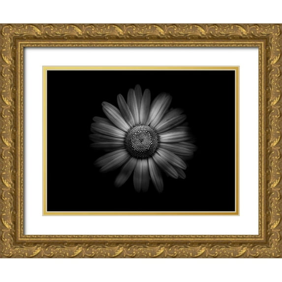 Carson, Brian 18x15 Gold Ornate Wood Framed with Double Matting Museum Art Print Titled - Backyard Flowers Black and White 31