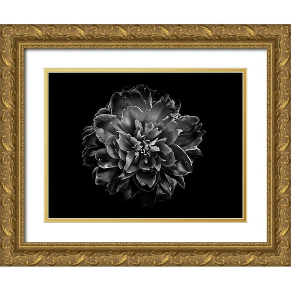 Carson, Brian 18x15 Gold Ornate Wood Framed with Double Matting Museum Art Print Titled - Backyard Flowers Black and White 55