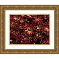 thumbnail image 1 of Carson, Brian 18x15 Gold Ornate Wood Framed with Double Matting Museum Art Print Titled - Backyard Flowers Red 88, 1 of 4