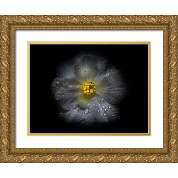 Carson, Brian 18x15 Gold Ornate Wood Framed with Double Matting Museum Art Print Titled - Backyard Flowers White 66