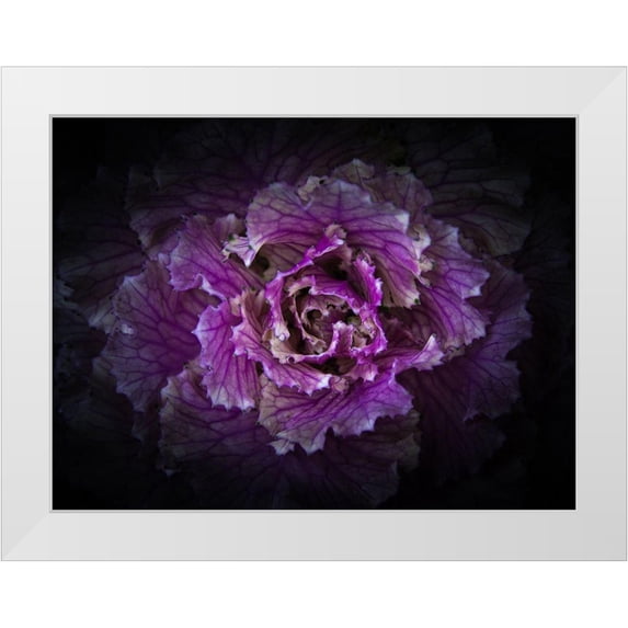 Carson, Brian 18x15 White Modern Wood Framed Museum Art Print Titled - Backyard Flowers Purple 42