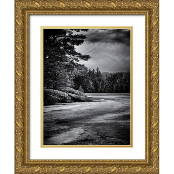 Carson, Brian 19x24 Gold Ornate Wood Framed with Double Matting Museum Art Print Titled - Gullwing Lake No 4
