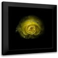 thumbnail image 1 of Carson, Brian 20x20 Black Modern Framed Museum Art Print Titled - Yellow Begonia, 1 of 5