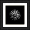 thumbnail image 1 of Carson, Brian 20x20 Black Ornate Wood Framed with Double Matting Museum Art Print Titled - Black And White Daisy 1, 1 of 4