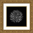 thumbnail image 1 of Carson, Brian 20x20 Gold Ornate Wood Framed with Double Matting Museum Art Print Titled - Black And White Mum II, 1 of 4