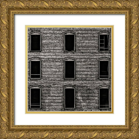 Carson, Brian 20x20 Gold Ornate Wood Framed with Double Matting Museum Art Print Titled - Geometry No 14
