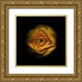 thumbnail image 1 of Carson, Brian 20x20 Gold Ornate Wood Framed with Double Matting Museum Art Print Titled - Yellow Begonia IV, 1 of 4