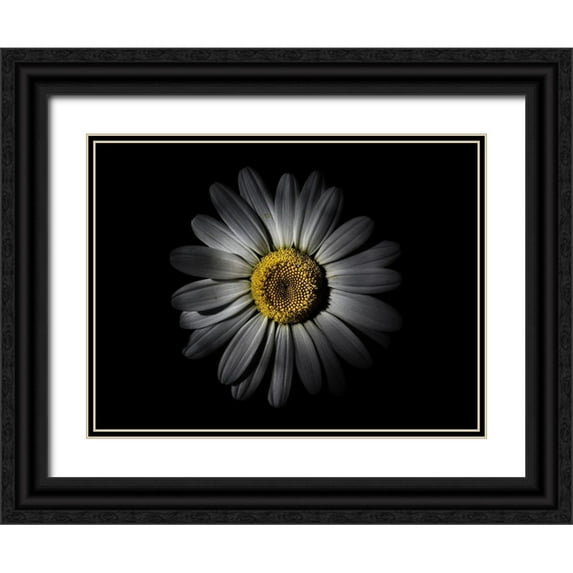 Carson, Brian 24x19 Black Ornate Wood Framed with Double Matting Museum Art Print Titled - Backyard Flowers White 52