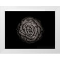 thumbnail image 1 of Carson, Brian 24x19 White Modern Wood Framed Museum Art Print Titled - Backyard Flowers Black and White 85, 1 of 4