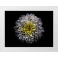 thumbnail image 1 of Carson, Brian 24x19 White Modern Wood Framed Museum Art Print Titled - Backyard Flowers White 46, 1 of 4