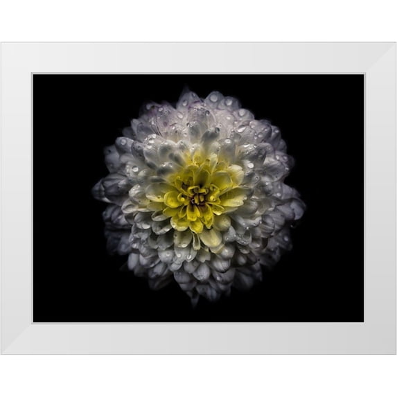 Carson, Brian 24x19 White Modern Wood Framed Museum Art Print Titled - Backyard Flowers White 46