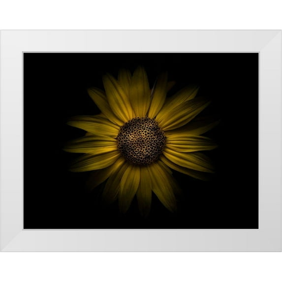 Carson, Brian 24x19 White Modern Wood Framed Museum Art Print Titled - Backyard Flowers Yellow 18