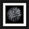 thumbnail image 1 of Carson, Brian 26x26 Black Ornate Wood Framed with Double Matting Museum Art Print Titled - Black and White Petals, 1 of 4