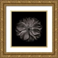 thumbnail image 1 of Carson, Brian 26x26 Gold Ornate Wood Framed with Double Matting Museum Art Print Titled - Black And White Primrose, 1 of 4