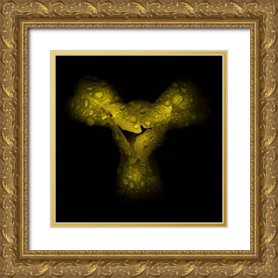 Carson, Brian 26x26 Gold Ornate Wood Framed with Double Matting Museum Art Print Titled - Yellow Petals