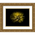 thumbnail image 1 of Carson, Brian 32x25 Gold Ornate Wood Framed with Double Matting Museum Art Print Titled - Backyard Flowers Yellow 67, 1 of 4