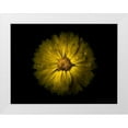 thumbnail image 1 of Carson, Brian 32x25 White Modern Wood Framed Museum Art Print Titled - Backyard Flowers Yellow 10, 1 of 4