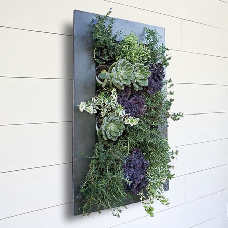 Carson Carrington Tasback Galvanized Steel/ Zinc Succulent Planter Aged Zinc Large (18 squares)