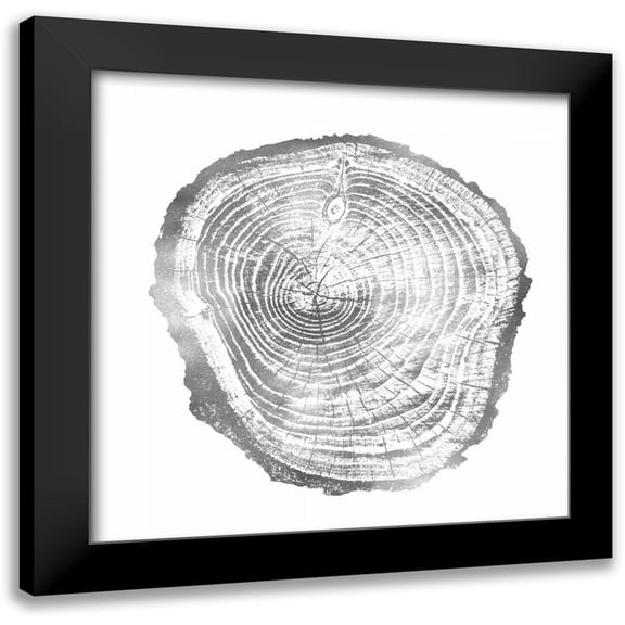 Carson, Danielle 12x12 Black Modern Framed Museum Art Print Titled - Timber Silver III