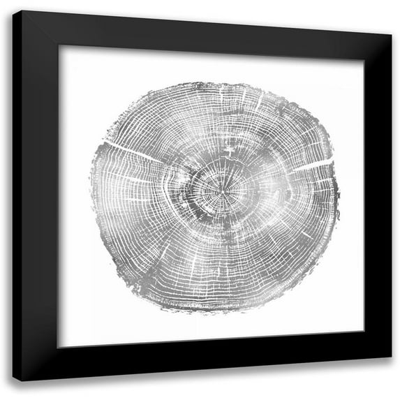 Carson, Danielle 12x12 Black Modern Framed Museum Art Print Titled - Timber Silver IV