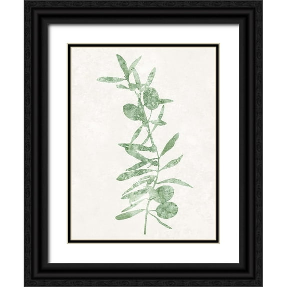 Carson, Danielle 12x14 Black Ornate Wood Framed with Double Matting Museum Art Print Titled - Nature Green IV