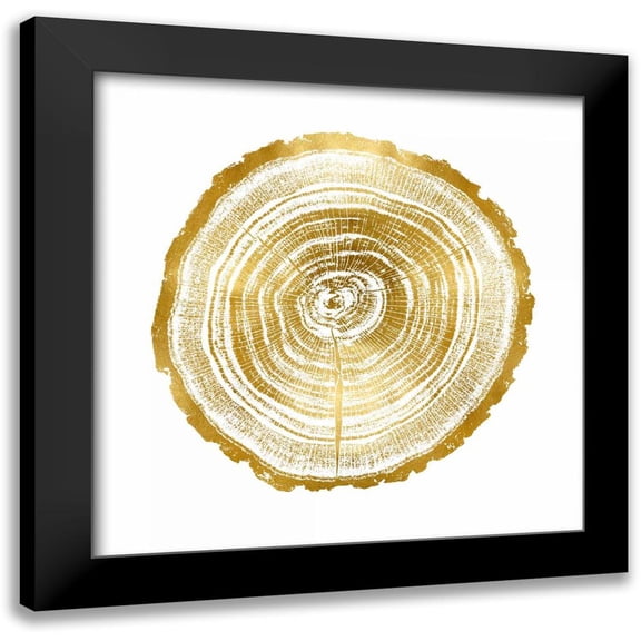 Carson, Danielle 15x15 Black Modern Framed Museum Art Print Titled - Timber Gold II