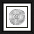 thumbnail image 1 of Carson, Danielle 15x15 Black Ornate Wood Framed with Double Matting Museum Art Print Titled - Timber Silver IV, 1 of 4